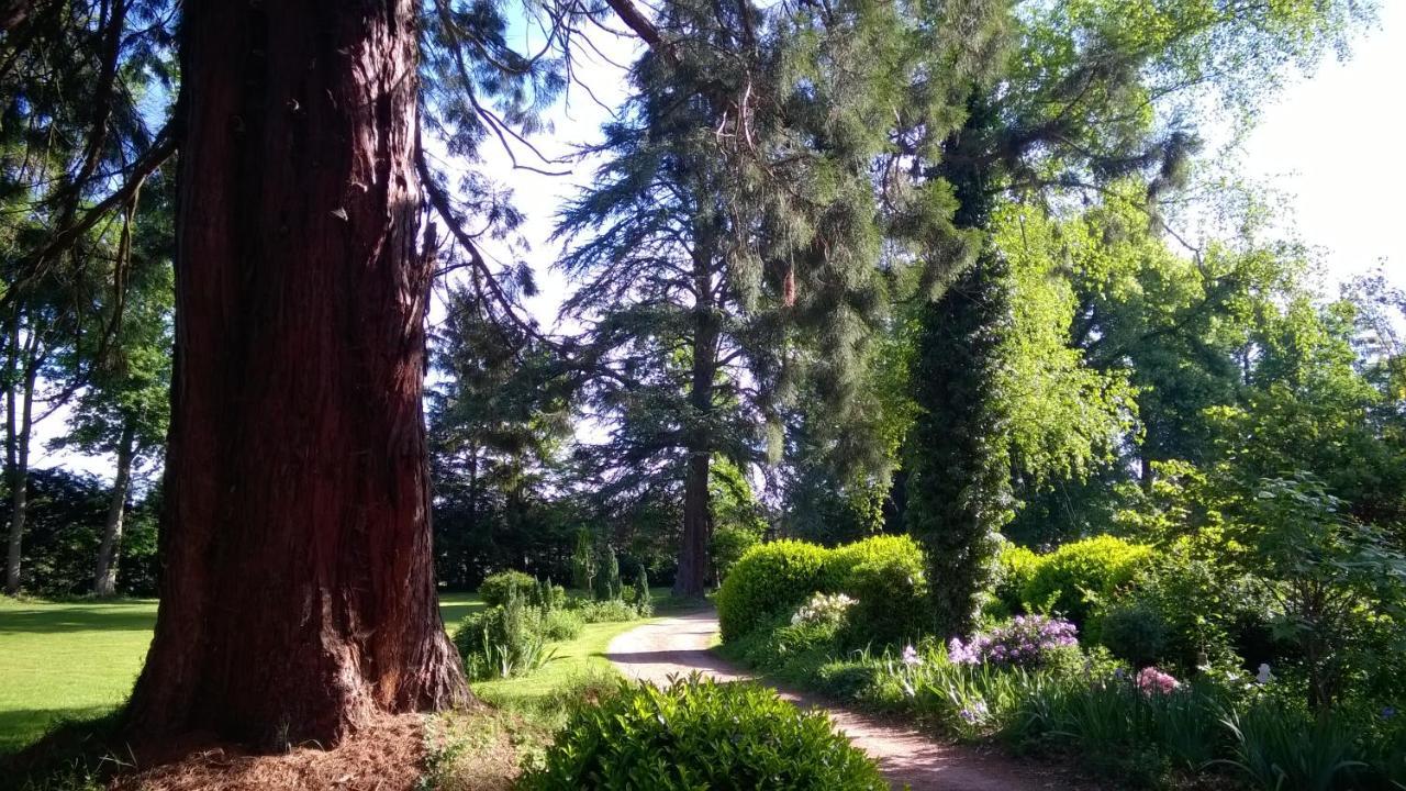 Chateau De La Vernede, La Grande Vernede Saint-Remy-de-Chargnat Екстер'єр фото